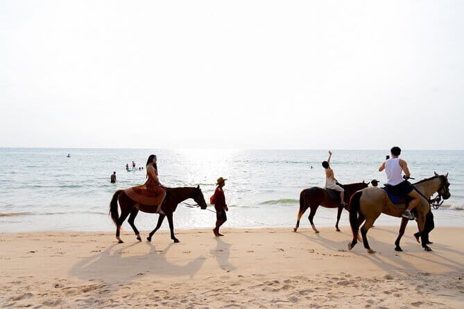 Sunset Beach Horseback Ride Phuket - What Travelers Say