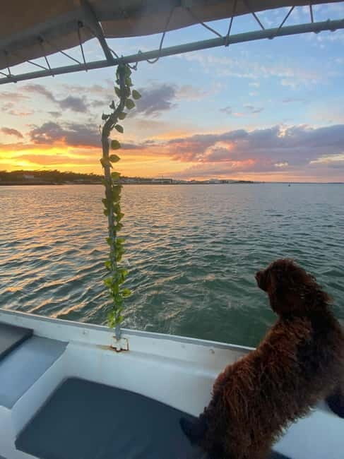 Sunset Boat Trip - A Comprehensive Look at the Sunset Boat Trip