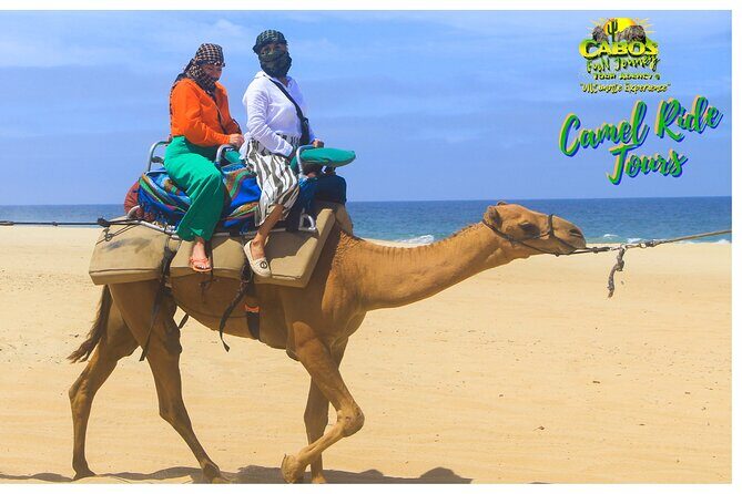 Sunset Camel Ride Tour - Frequently Asked Questions (FAQs)