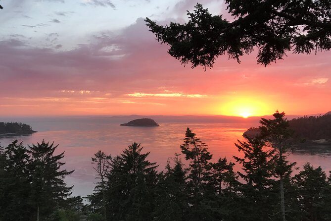 Sunset Canopy Climb on Lopez Island - Sunset Canopy Climb on Lopez Island: An Adventurous Journey into the Trees