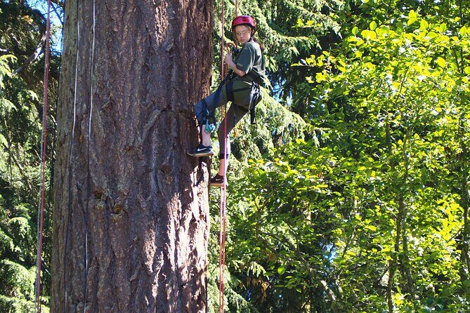 Sunset Canopy Climb on Lopez Island - FAQs
