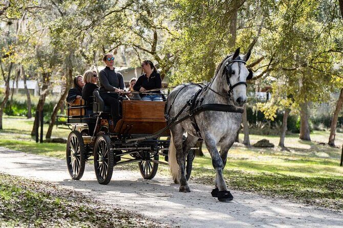 Sunset Carriage Ride and Dinner - The Experience in Detail