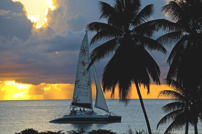 Sunset Catamaran and Snorkeling Cruise At Carlisle Bay - The Route and Highlights