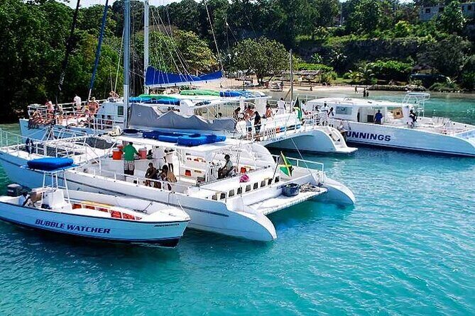 Sunset Catamaran cruise, Snorkeling and Rick's Cafe from Mobay - The Itinerary in Detail