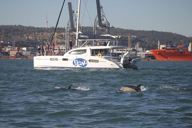 Sunset Catamaran in Lisbon | Music and Open Bar - FAQ