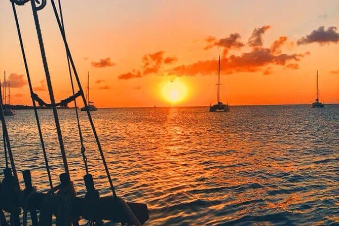 Sunset & Champagne Cruise on a Classic Schooner with boat dogs - In-Depth Look at the Sunset & Champagne Cruise