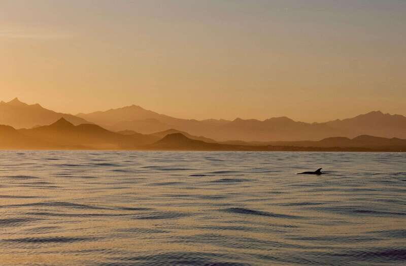 Sunset Cruise in San Jose del Cabo - Key Points
