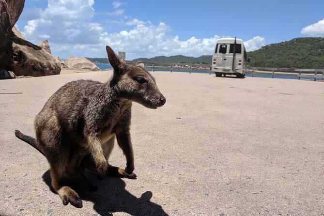 Sunset Cruise on Magnetic Island - What We Love About This Tour