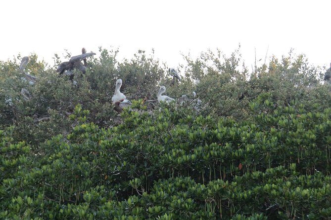 Sunset Cruise over the Gulf of Mexico - FAQ