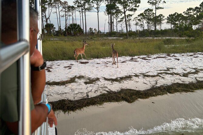 Sunset Cruise with Good Jibez Only in Panama City Beach - FAQ