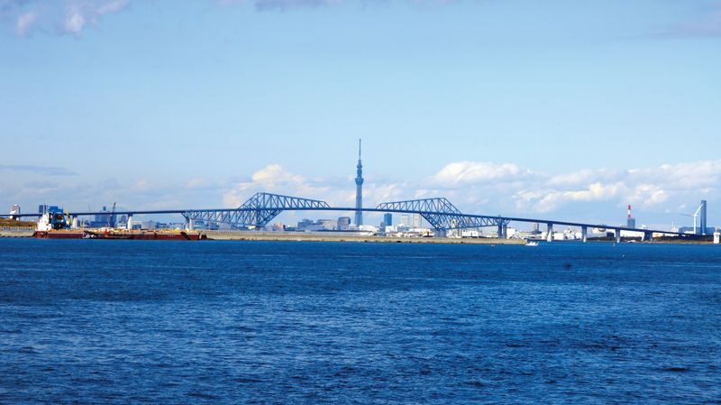 Sunset Dining Cruise Experience in Tokyo by the Symphony - Service, music and the mood onboard