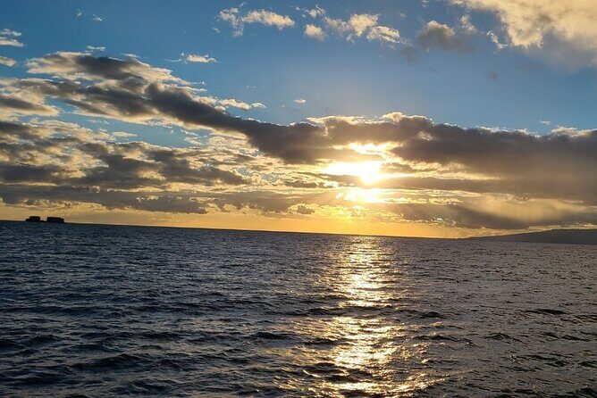 Sunset Dinner Cruise in Honolulu - The Experience Itself: What to Expect