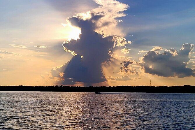 Sunset, Dolphin/Birding On A Private Guided Savannah Cruise - An In-Depth Look at the Savannah Sunset, Dolphin & Birding Cruise