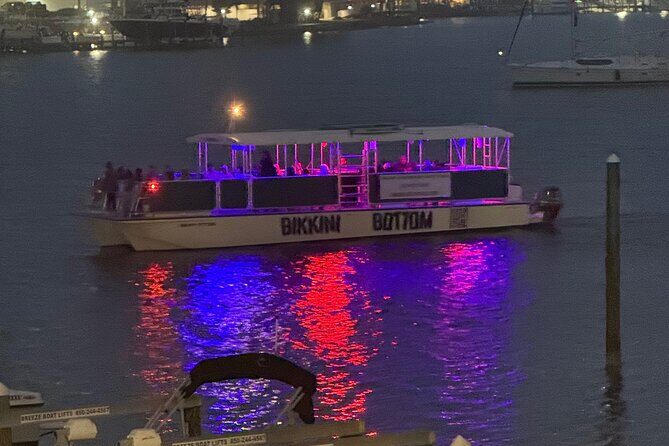 Sunset Dolphin Cruise - Why This Dolphin Cruise Stands Out