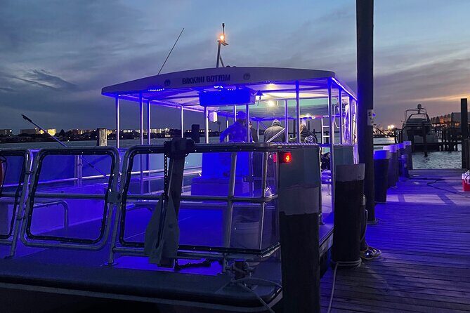 Sunset Dolphin Cruise - The Sum Up: Who Will Love This Tour?