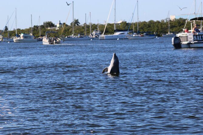 Sunset Dolphin Cruise with Sanibel Lighthouse Views - The Sum Up