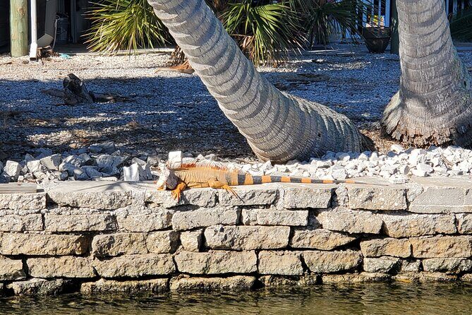 Sunset Dolphin Cruise with Sanibel Lighthouse Views - FAQ