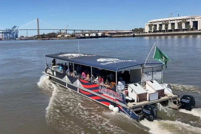 Sunset Dolphin Eco Tour - Key Points