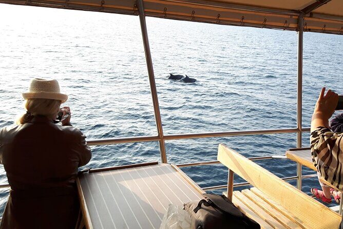 Sunset Dolphin Watching Boat Tour from Vrsar - Who Will Love This Tour?