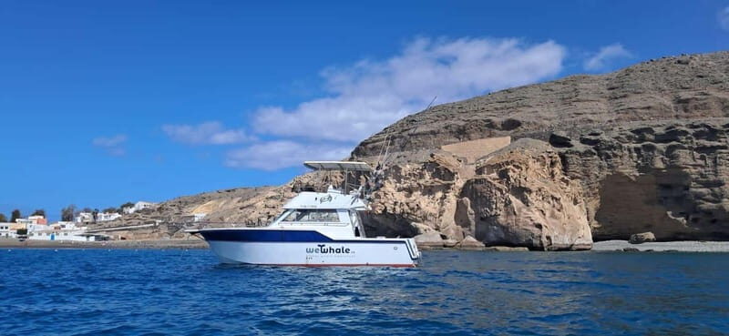 Sunset Dolphin Watching Tour on Hybrid Boat in Small Group - Value and Practicalities