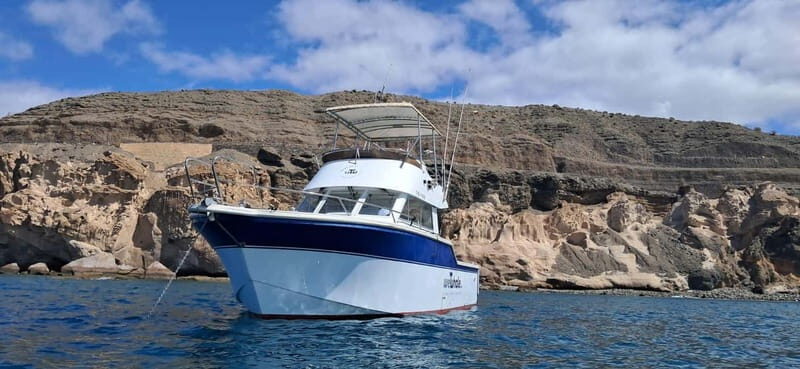 Sunset Dolphin Watching Tour on Hybrid Boat in Small Group - The Sum Up