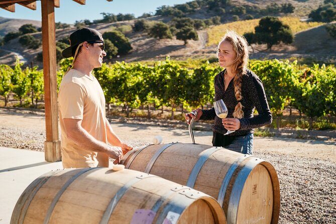 Sunset Eco Farm Experience Sheep Olive Oil Wine Cheese Tasting - Who Will Love This Tour?