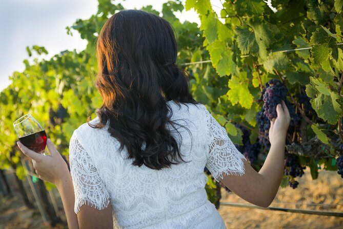 Sunset Etna & Wine  Private Experience - Key Points