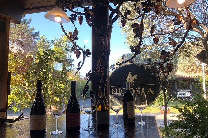 Sunset Etna & Wine  Private Experience - FAQ