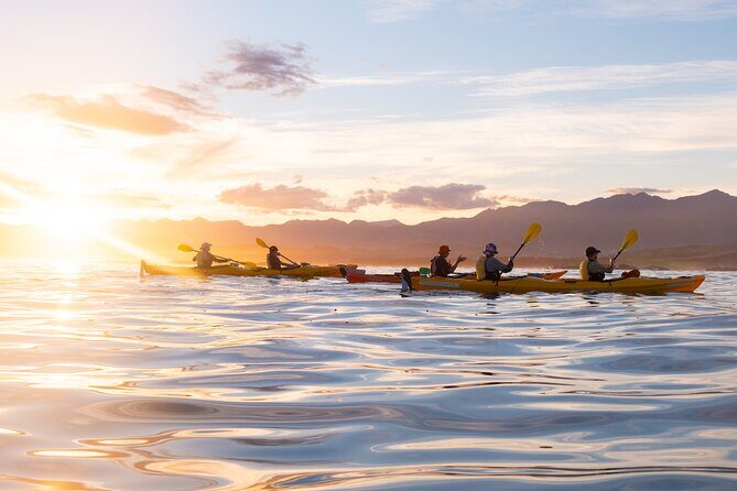 Sunset Evening Kayaking Tour - Kaikoura - FAQs