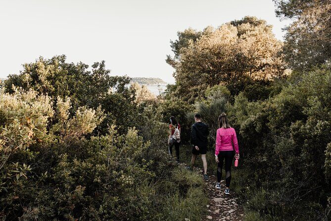 Sunset Hike and Gastro Tour - Key Points