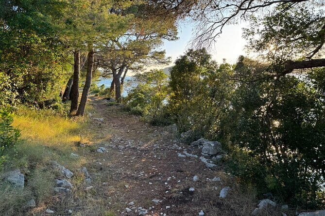 Sunset Hike and Picnic Tour in Vela Luka - Who Will Love This Tour?