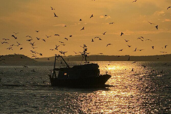 Sunset Hike and Picnic Tour in Vela Luka - FAQ
