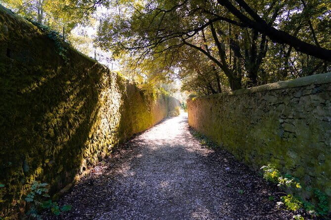 Sunset Hike in Fiesole with Aperitivo - An In-Depth Look at the Sunset Hike in Fiesole with Aperitivo