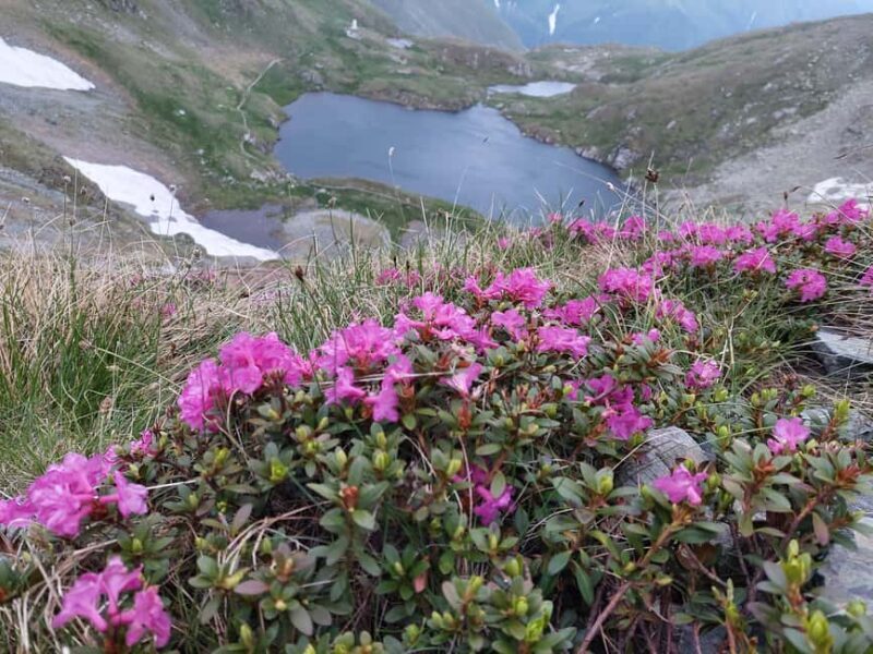 Sunset Hike on Transfgran: Buteanu & Capra glaciary lake - Sunset Hike on Transfagarasan: Buteanu & Capra Glacier Lake