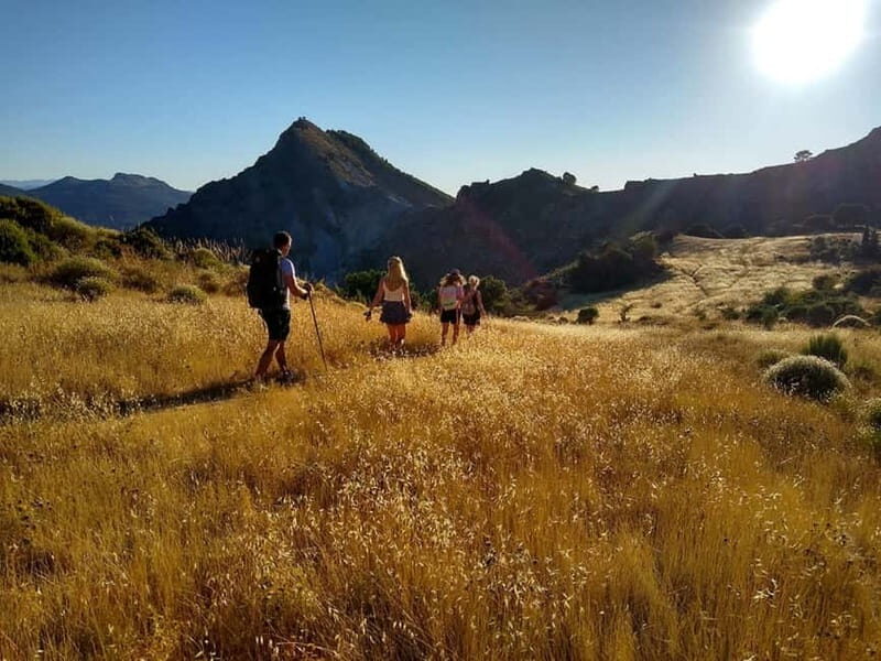 Sunset Hike & Summit Sierra Nevada with pup - Authentic Experiences from Other Travelers