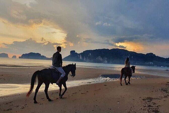 Sunset Horse Riding And BBQ Dinner Tour At Ao Nam Mao Beach Krabi - An In-Depth Look at the Sunset Horse Riding and BBQ Tour in Krabi