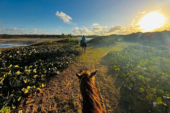 Sunset Horseback Ride at Macao Beach & Forest with Transfers - A Closer Look at the Sunset Horseback Ride Experience