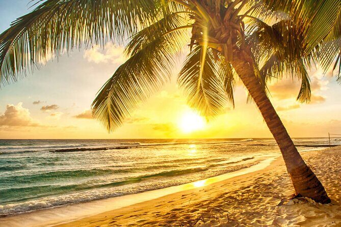 Sunset Horseback Ride at Macao Beach & Forest with Transfers - FAQ