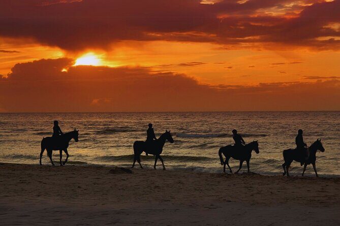 Sunset Horseback Ride by the Beach in Aguadilla, Puerto Rico - Sunset Horseback Ride by the Beach in Aguadilla, Puerto Rico