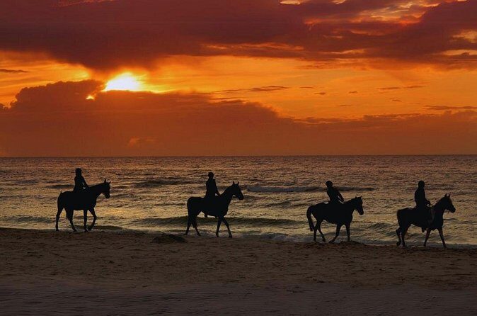 Sunset Horseback Ride by the Beach in Aguadilla, Puerto Rico - FAQ