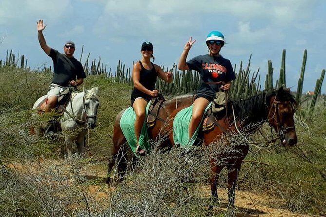 Sunset Horseback Ride in Aruba - The Sum Up