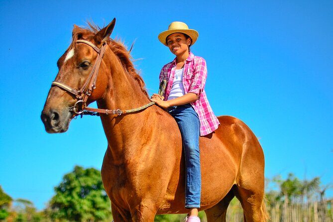 Sunset Horseback Riding Tour in Punta Cana (Private Option) - A Thorough Look at the Sunset Horseback Riding Tour