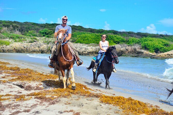 Sunset Horseback Riding Tour in Punta Cana (Private Option) - Who Should Consider This Tour?