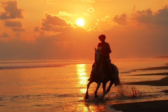 Sunset & Horses - Key Points