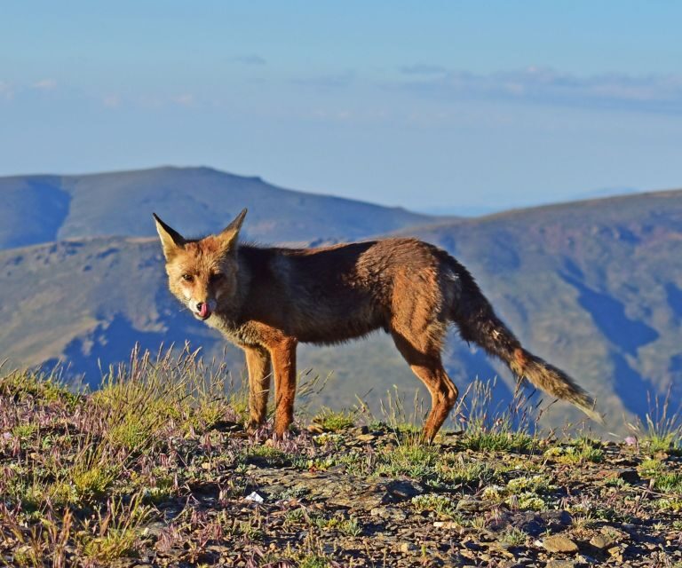 Sunset in Sierra Nevada at 2,500m altitude - Final Thoughts
