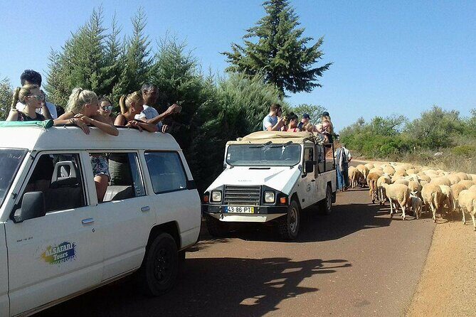 Sunset Jeep Tour through Algarve Countryside from Albufeira - Final Thoughts: Who Is This Tour Best For?