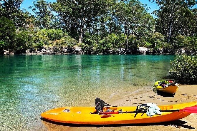 Sunset Kayak Eco Tour with Marine Scientist - Key Points
