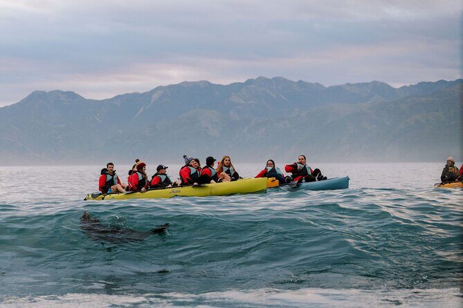 Sunset Kayak tour in Kaikoura - Exploring the Sunset Kayak Tour in Kaikoura in Detail