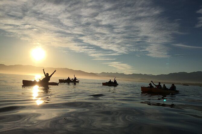 Sunset Kayak tour in Kaikoura - Final Thoughts