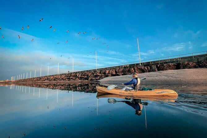 Sunset Kayak Tour in Santa Barbara Harbor (2 Hours) - Key Points